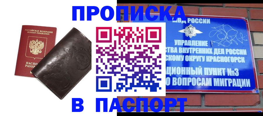 миграционный учет в Большом Камне